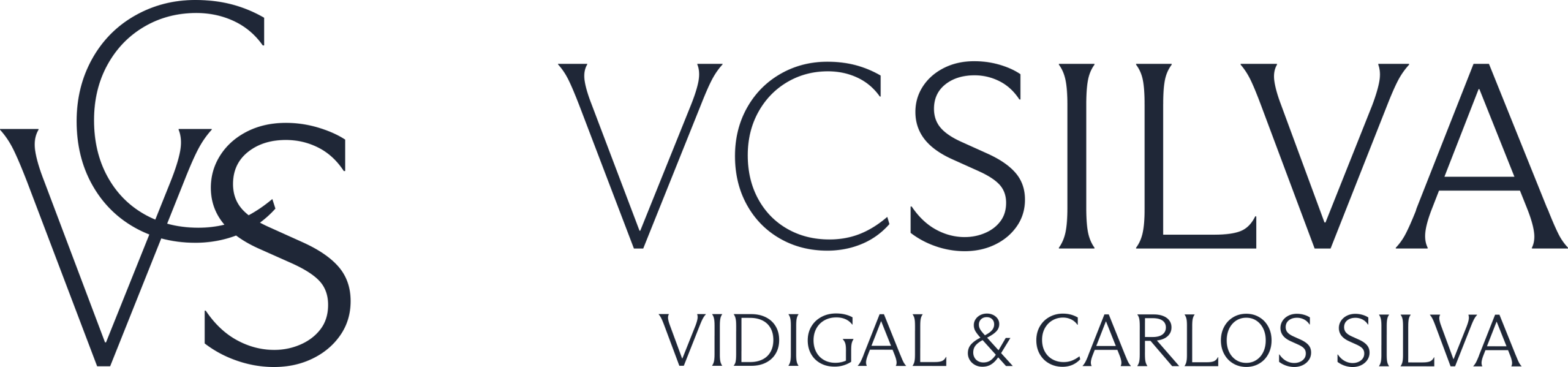 VCSILVA-ID-Horizontal-Azul
